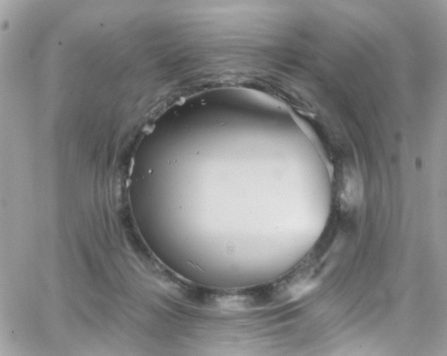 X0000066530268200603241409