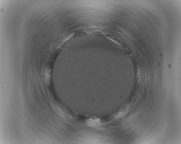 X0000066530271200603241409