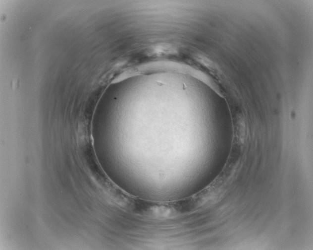 X0000066530272200603241409