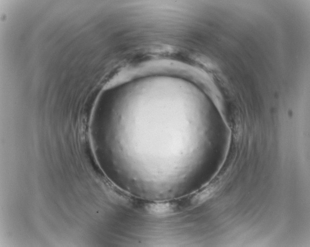 X0000066530273200603241409