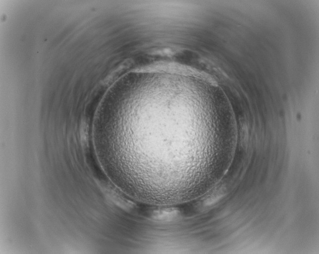 X0000066530274200603241409