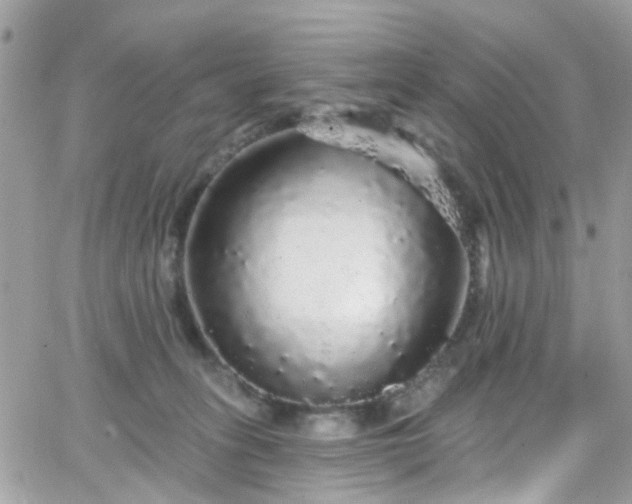 X0000066530275200603241409