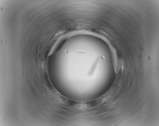 X0000066530276200603241409