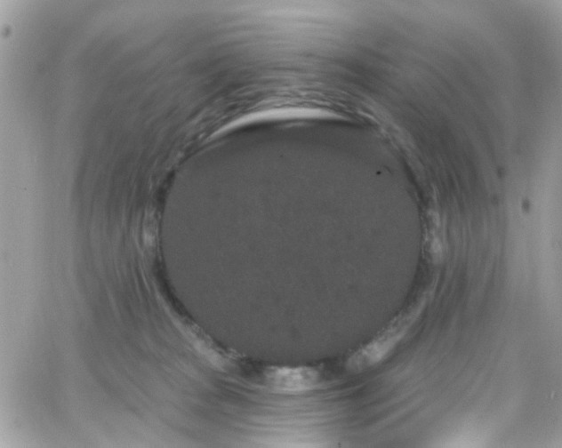 X0000066530277200603241409