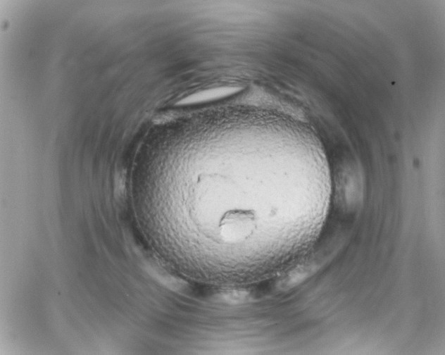 X0000066530278200603241409