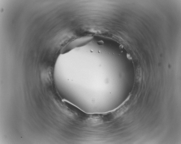 X0000066530280200603241409