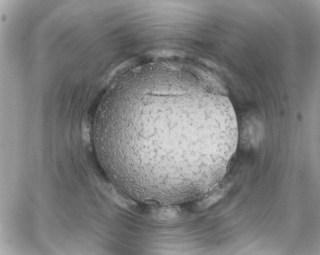 X0000066530282200603241409