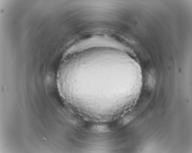 X0000066530283200603241409