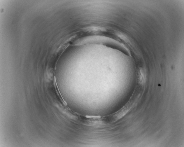 X0000066530284200603241409