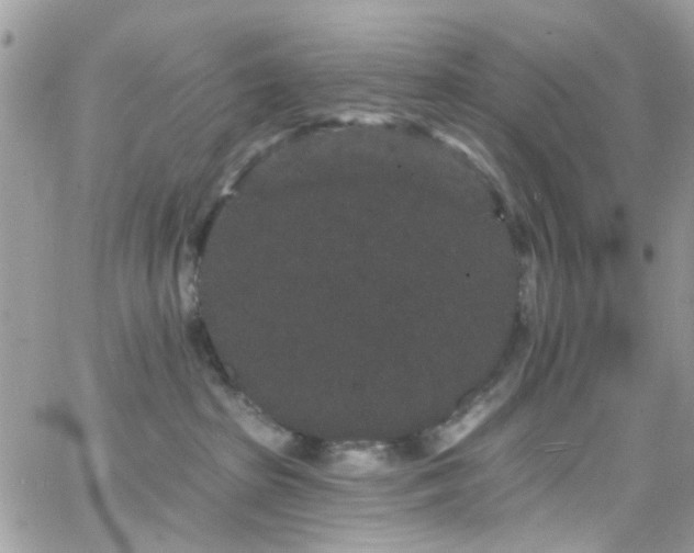 X0000066530285200603241409