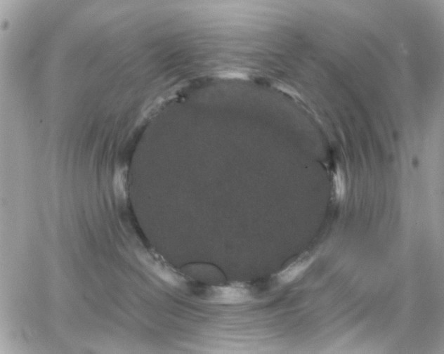 X0000066530286200603241409