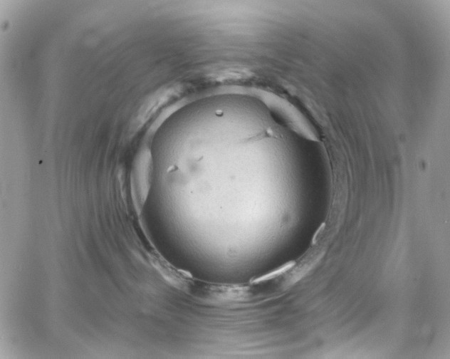 X0000066530288200603241409