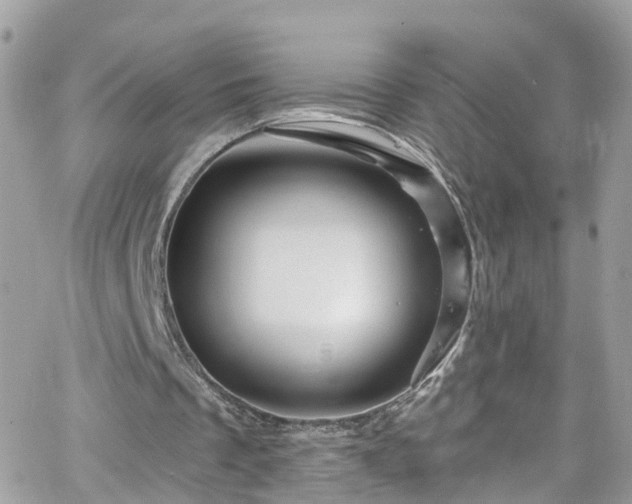 X0000066530289200603241408