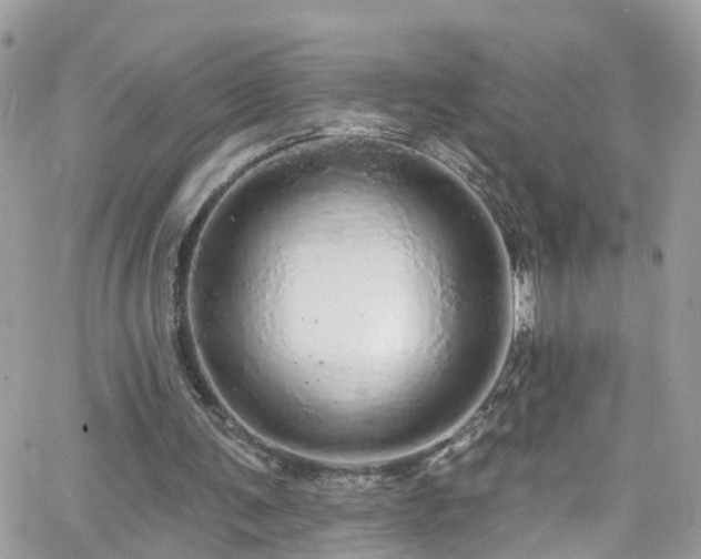 X0000066530291200603241408