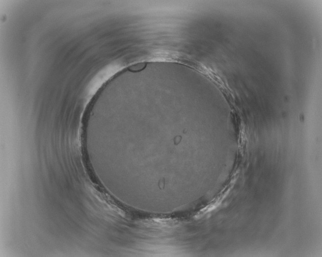 X0000066530292200603241408