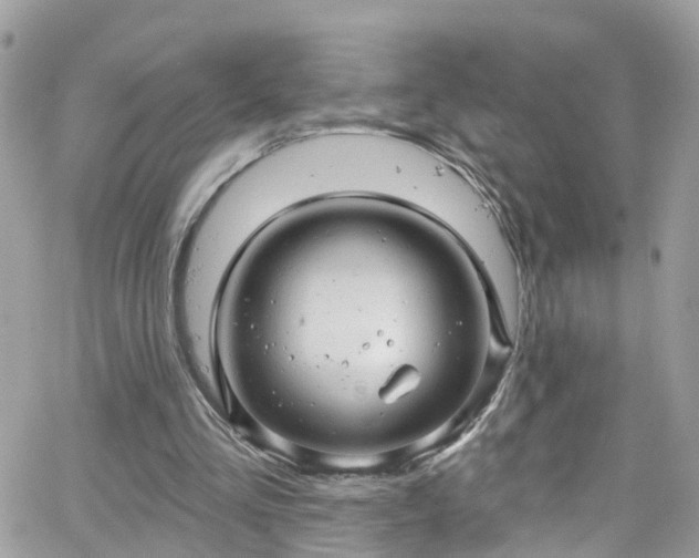 X0000066530293200603241408