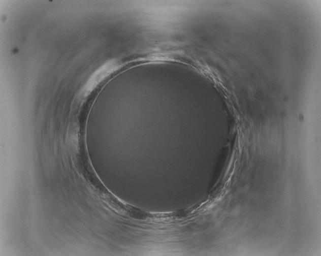 X0000066530295200603241408