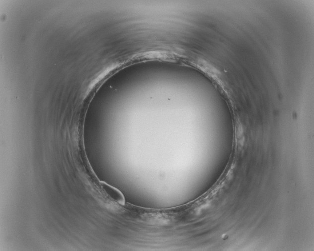 X0000066530297200603241408