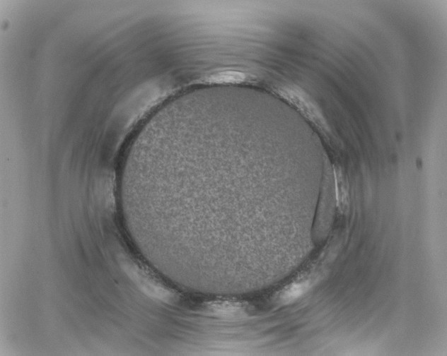 X0000066530300200603241408