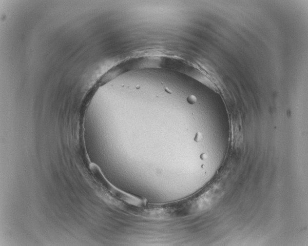 X0000066530301200603241408