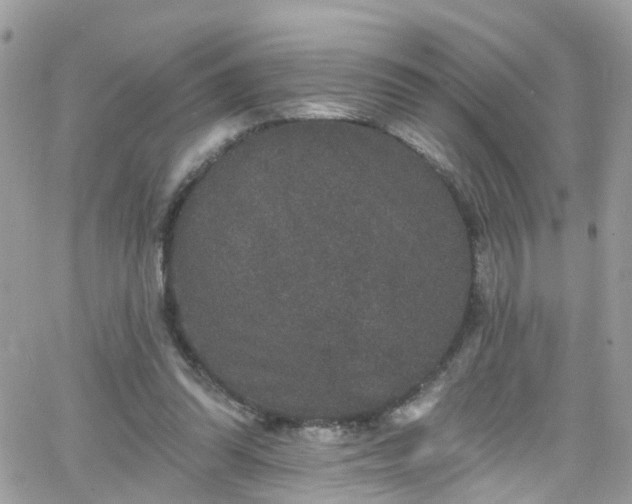 X0000066530302200603241408