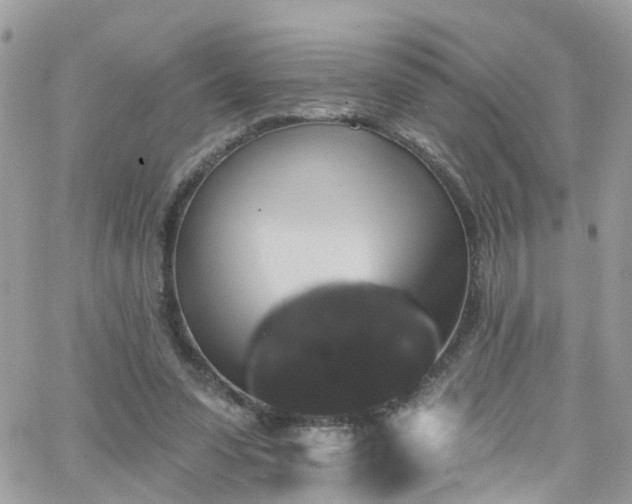 X0000066530303200603241408