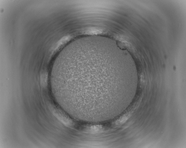 X0000066530304200603241408