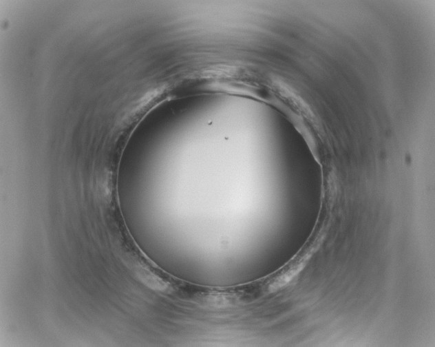 X0000066530305200603241408