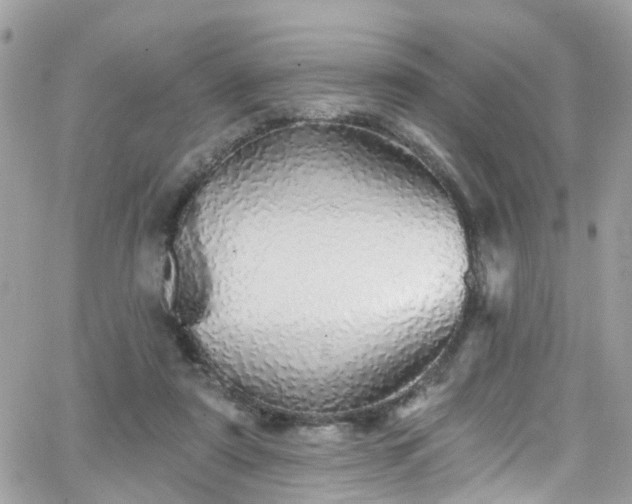 X0000066530307200603241408