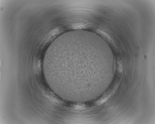 X0000066530308200603241408