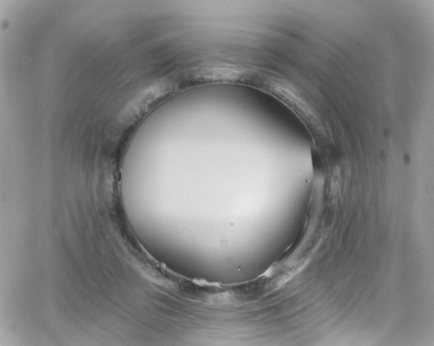 X0000066530309200603241408