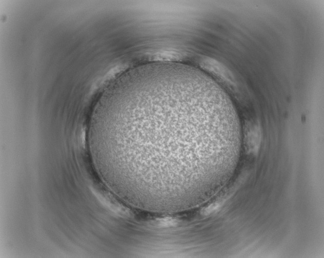 X0000066530310200603241408