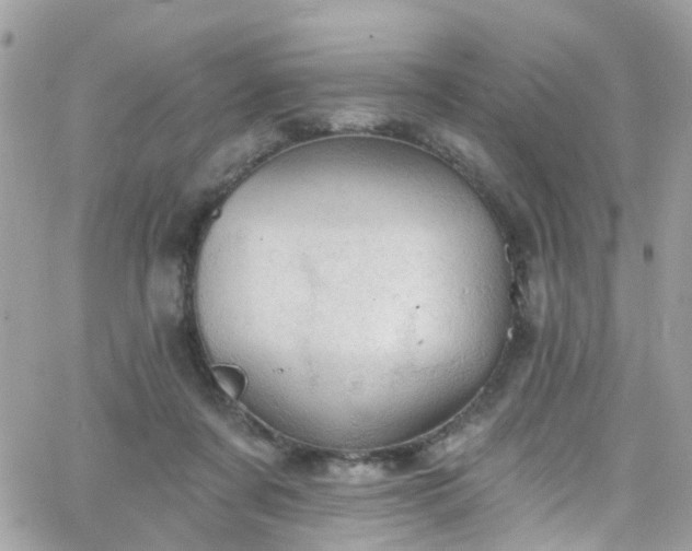 X0000066530311200603241408