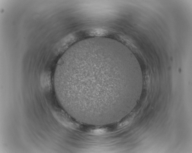 X0000066530312200603241408