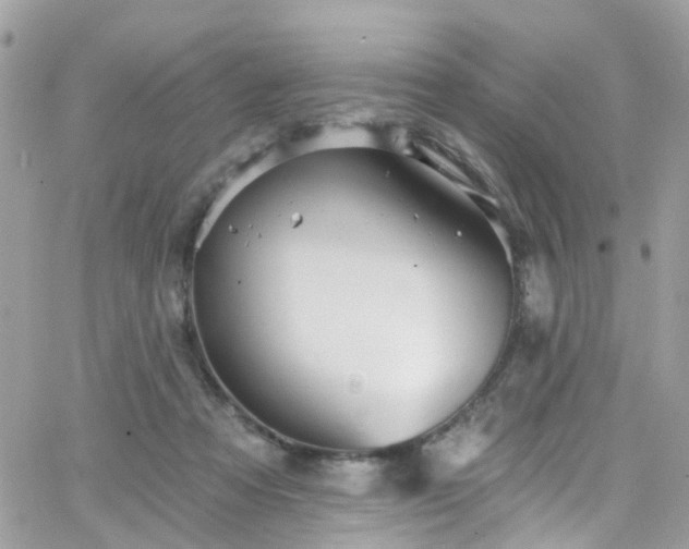 X0000066530313200603241408