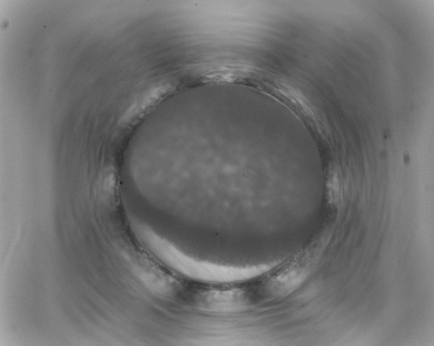 X0000066530314200603241408