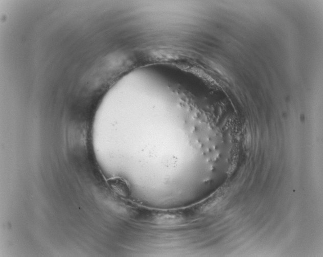 X0000066530315200603241408