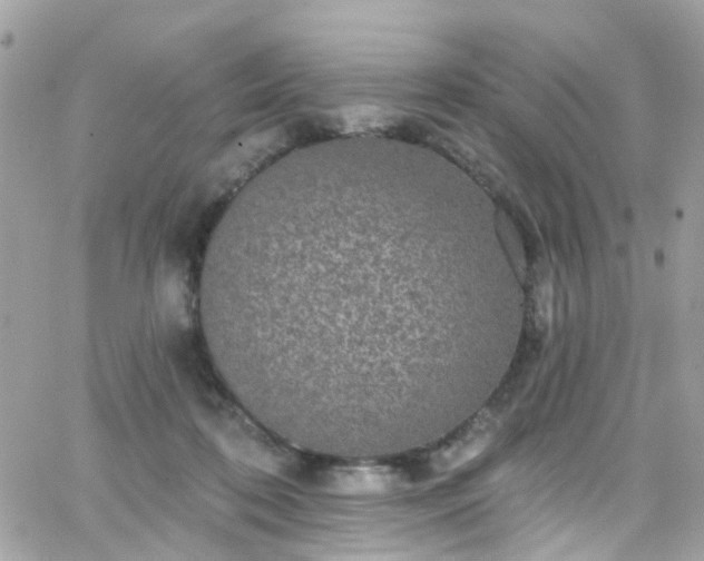 X0000066530316200603241408