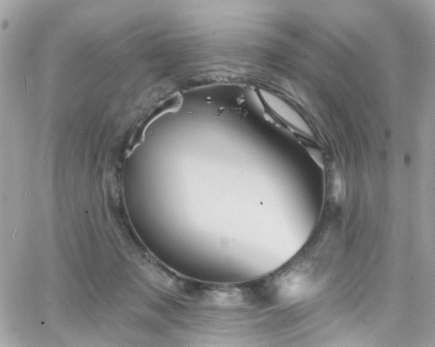 X0000066530317200603241408