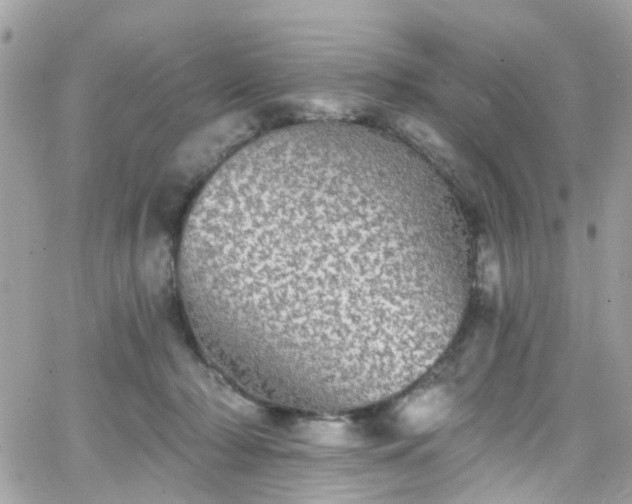 X0000066530318200603241408