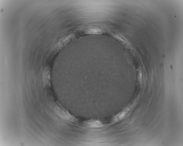 X0000066530322200603241408