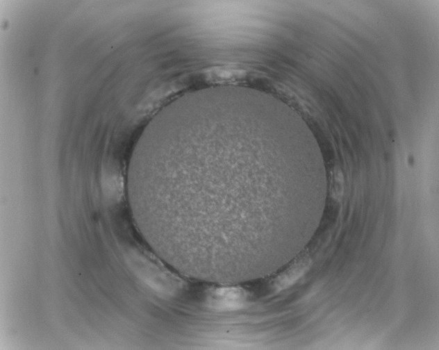 X0000066530324200603241408