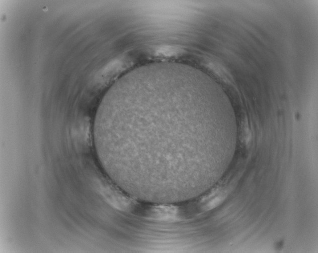 X0000066530328200603241408