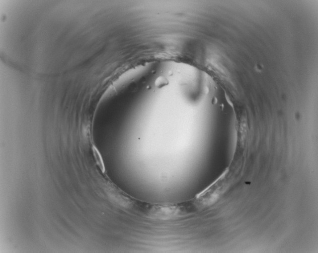 X0000066530329200603241408