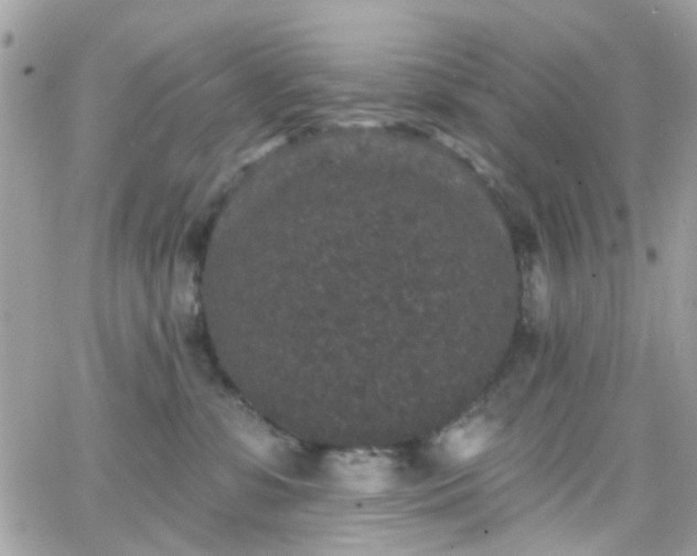 X0000066530331200603241408