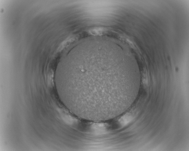 X0000066530332200603241408