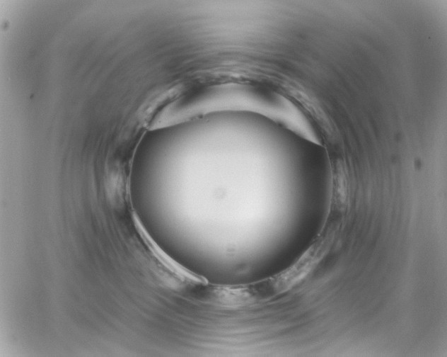 X0000066530333200603241408