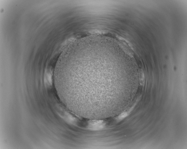 X0000066530334200603241408