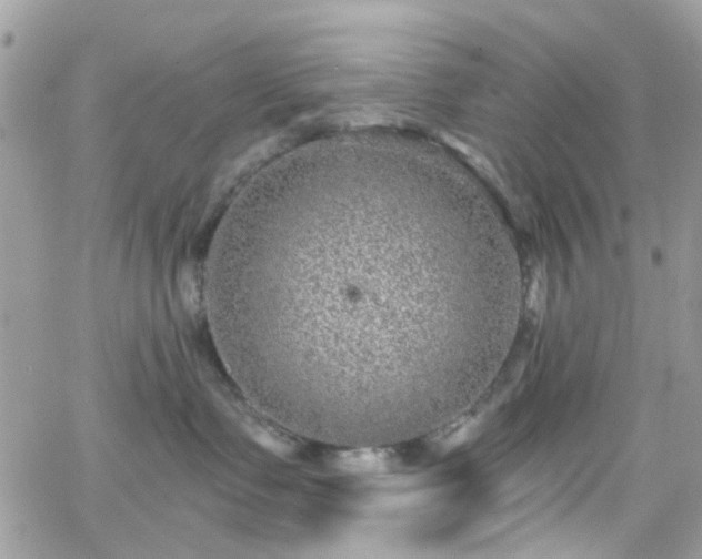 X0000066530335200603241408