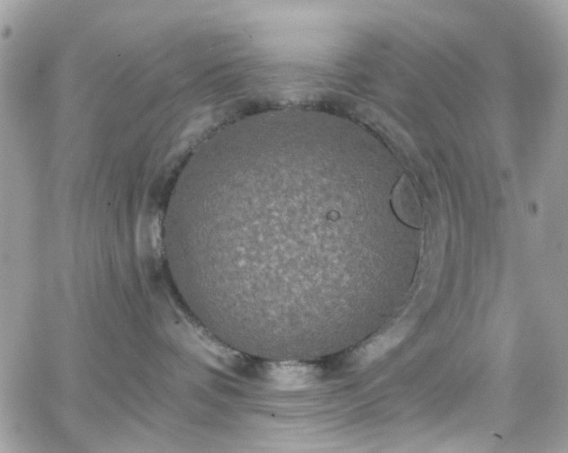 X0000066530336200603241408